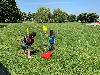 | 9-6-21 Straatspeeldag Pit010 in het wijk park diverse spellen met de kinderen 