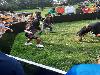 | 7-7-21 panna championship wijkpark schinnenbaan 15.uur-19.uur  