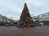 5-12-21 groteklerstboom winkelcentrum beverwaard en mensen op de foto voor de grote boom