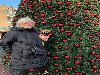 29-11-21 groteklerstboom winkelcentrum beverwaard