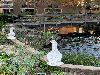 | 26-3-22 Tuin IJsselburgh 